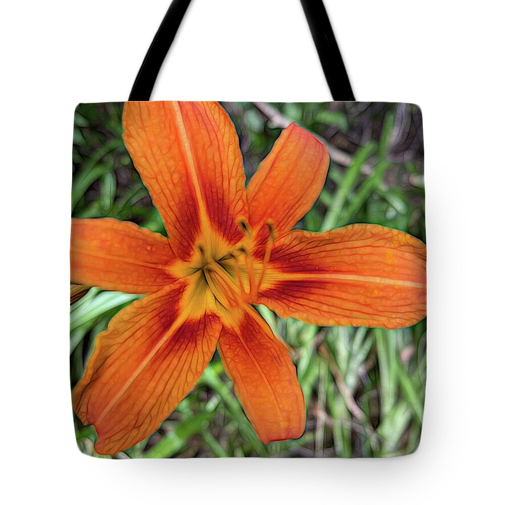 Late June Tiger Lily - Tote Bag