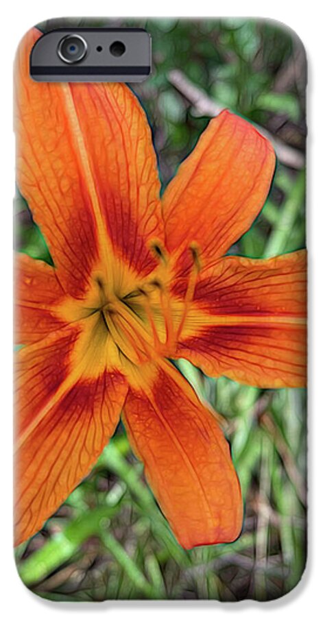 Late June Tiger Lily - Phone Case