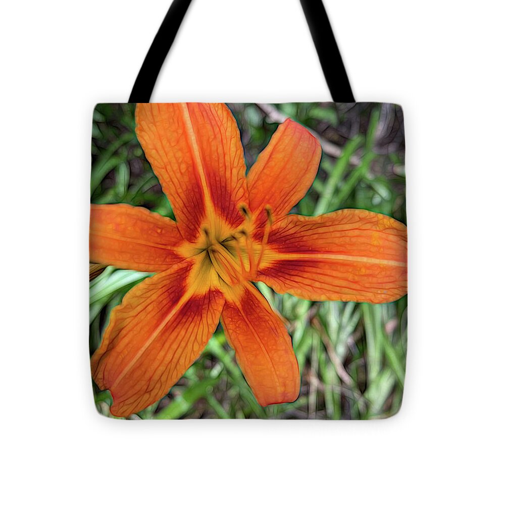 Late June Tiger Lily - Tote Bag