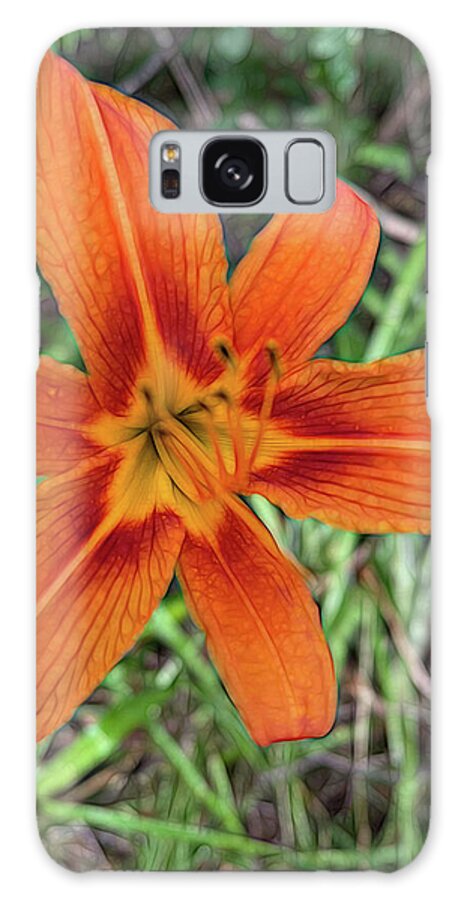 Late June Tiger Lily - Phone Case