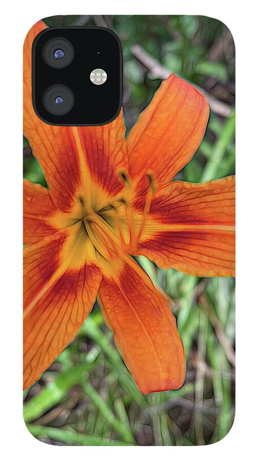 Late June Tiger Lily - Phone Case