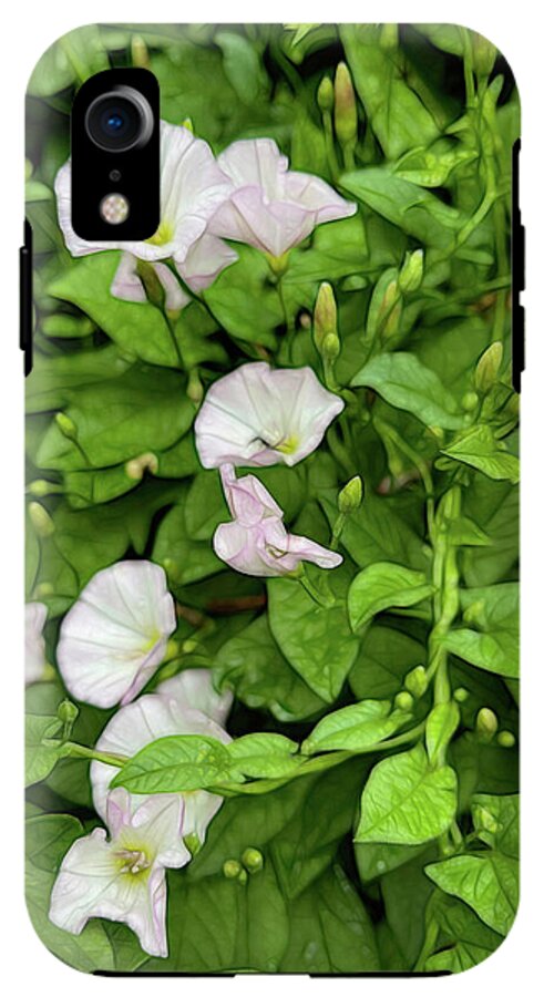 Morning Glories - Phone Case