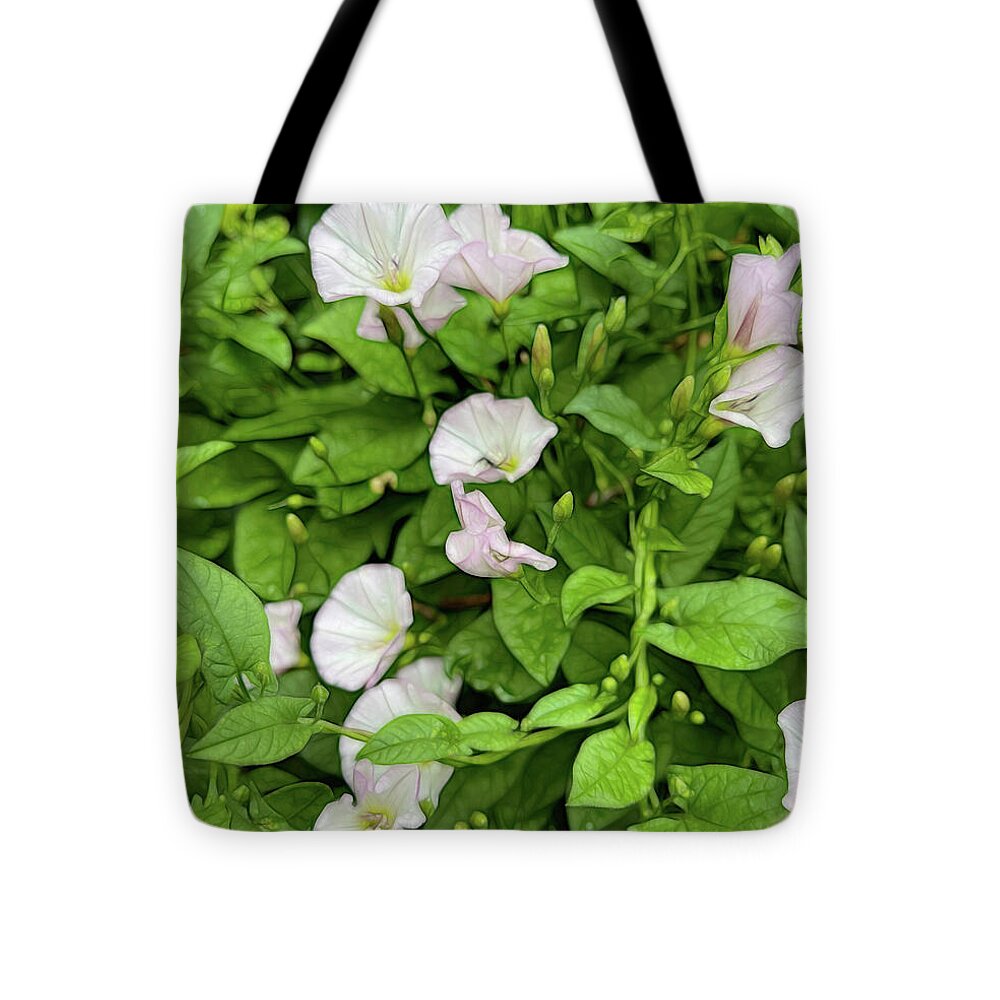 Morning Glories - Tote Bag