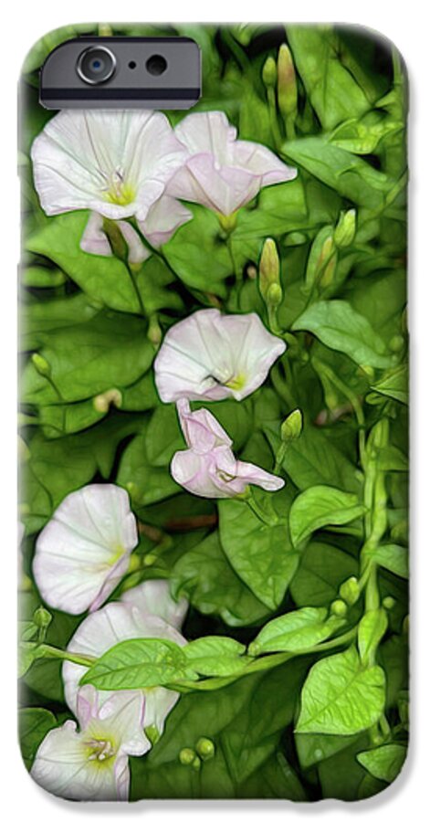 Morning Glories - Phone Case