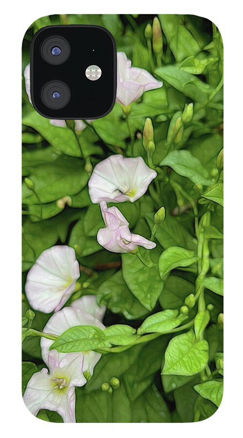 Morning Glories - Phone Case