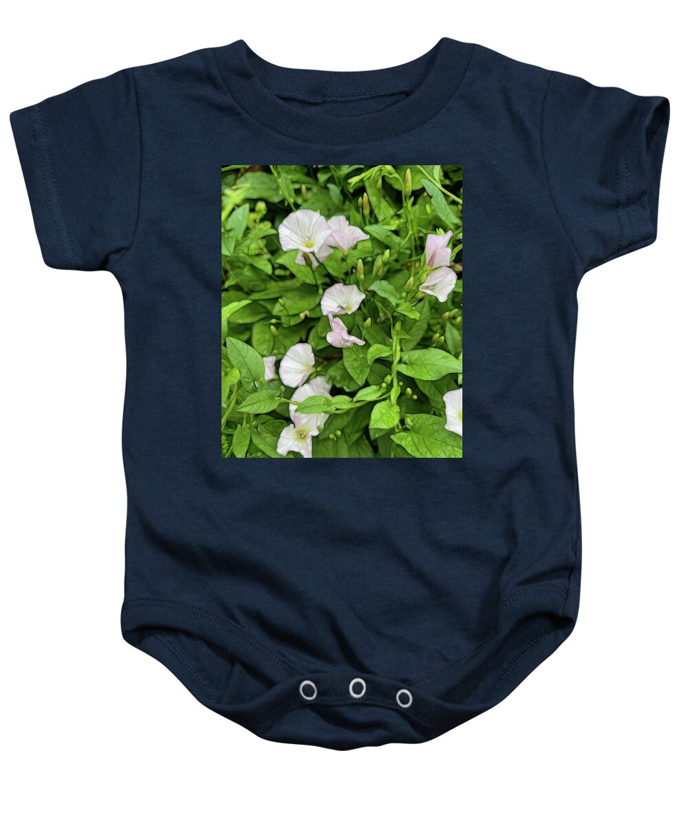 Morning Glories - Baby Onesie