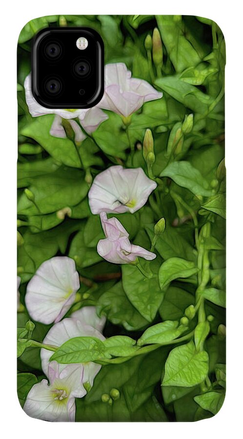 Morning Glories - Phone Case