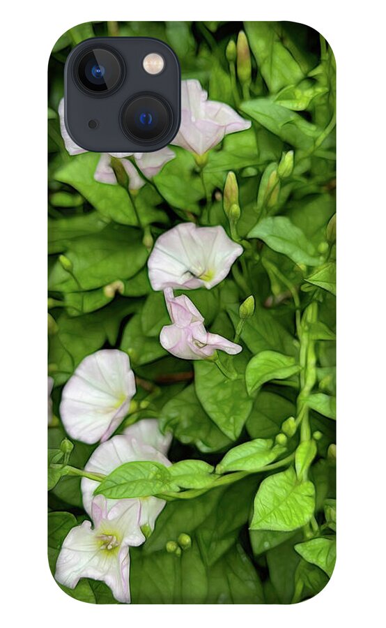 Morning Glories - Phone Case