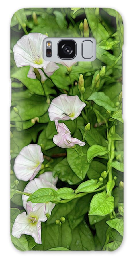 Morning Glories - Phone Case