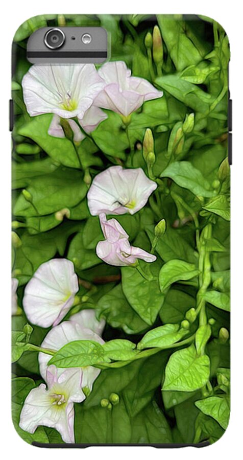 Morning Glories - Phone Case