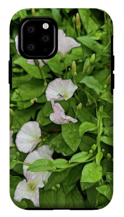 Morning Glories - Phone Case