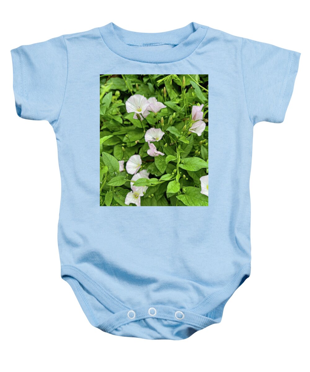 Morning Glories - Baby Onesie