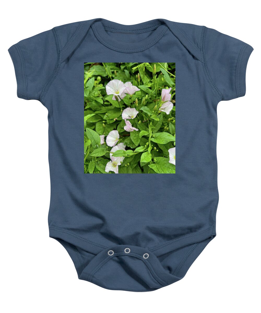 Morning Glories - Baby Onesie