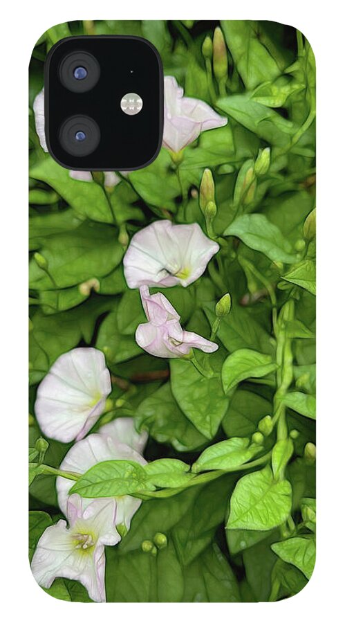 Morning Glories - Phone Case