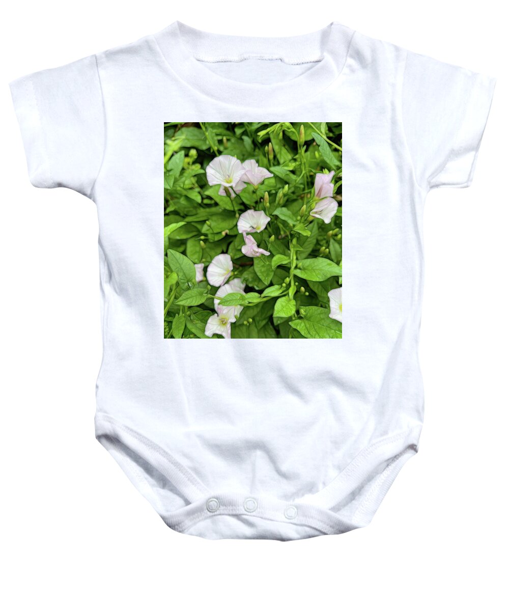 Morning Glories - Baby Onesie