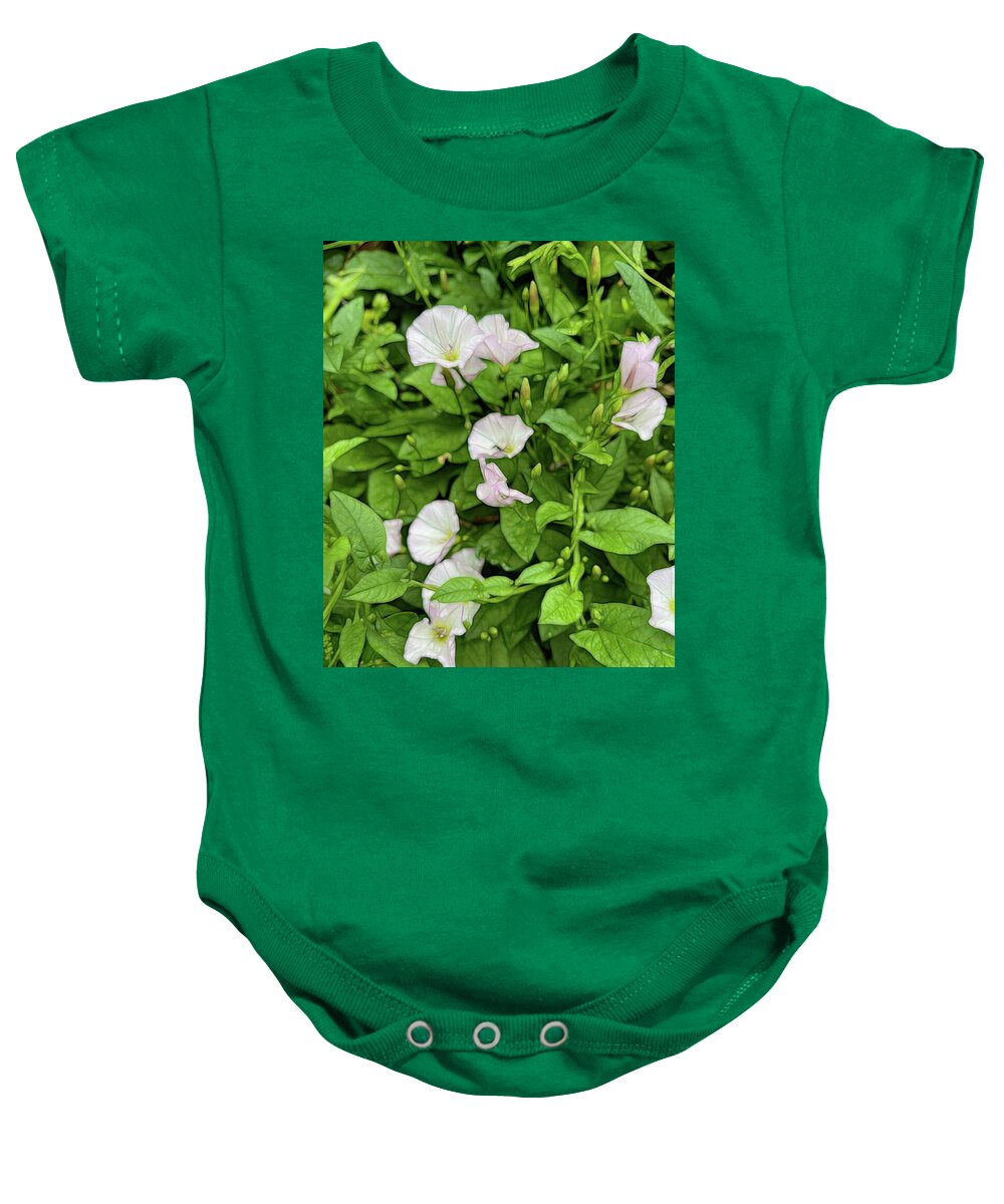 Morning Glories - Baby Onesie