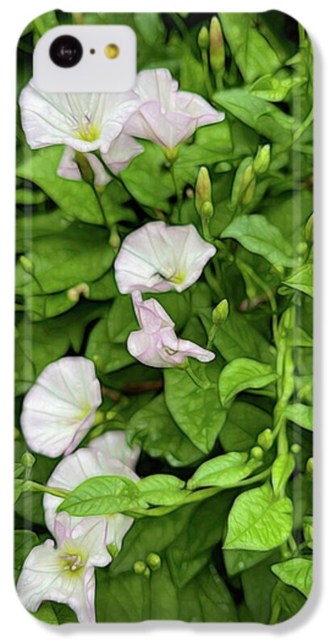 Morning Glories - Phone Case