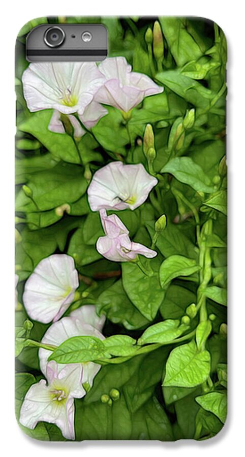 Morning Glories - Phone Case