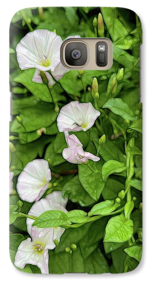 Morning Glories - Phone Case