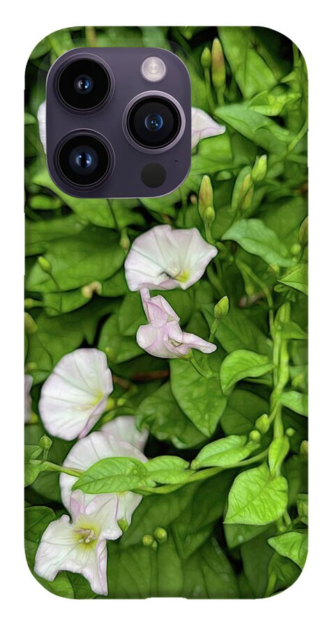 Morning Glories - Phone Case