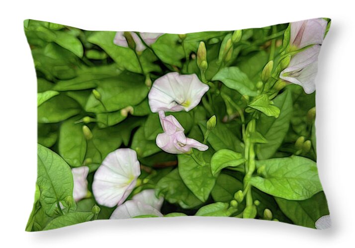 Morning Glories - Throw Pillow