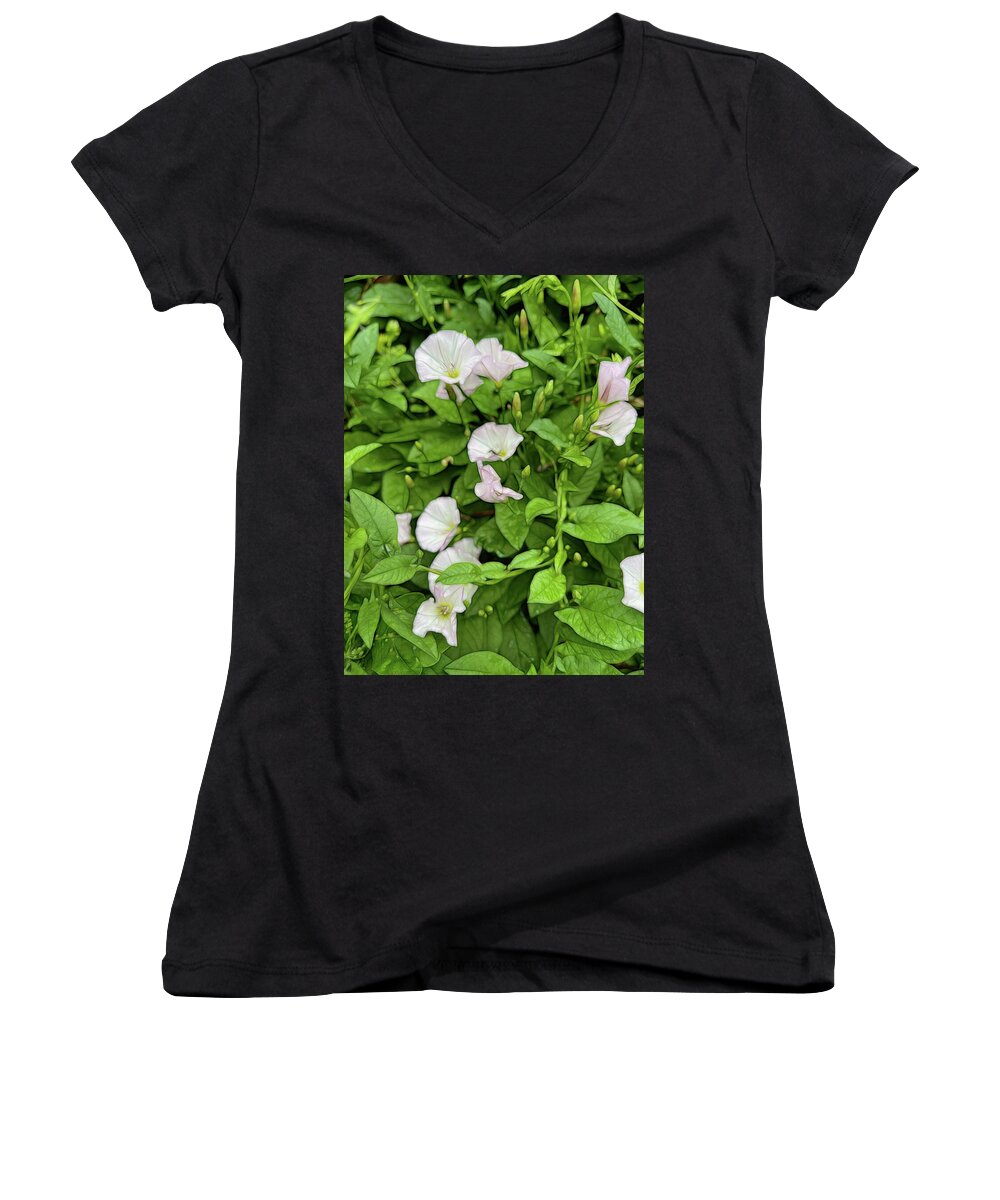 Morning Glories - Women's V-Neck