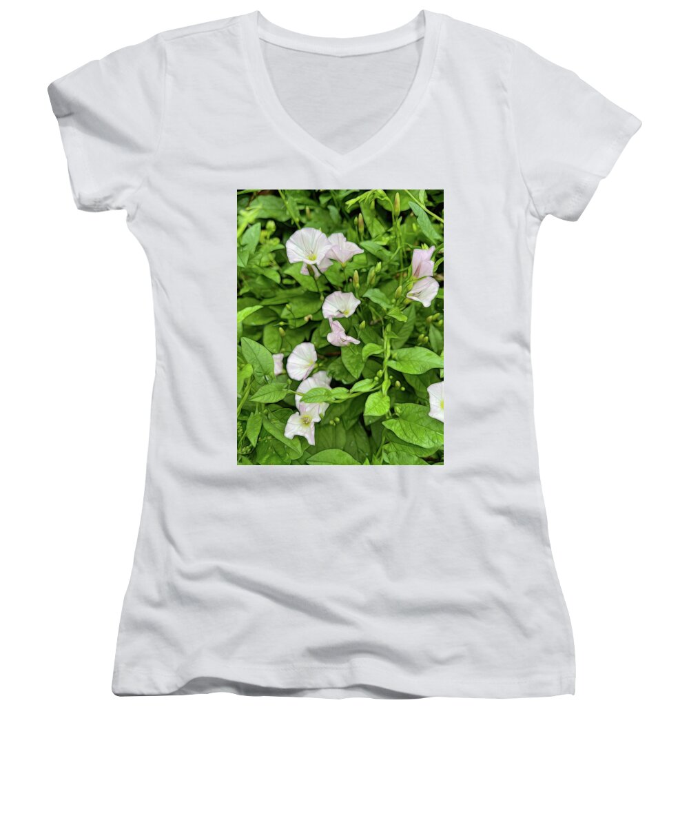 Morning Glories - Women's V-Neck