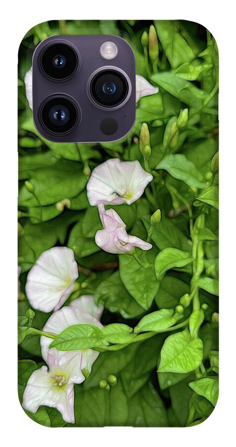 Morning Glories - Phone Case