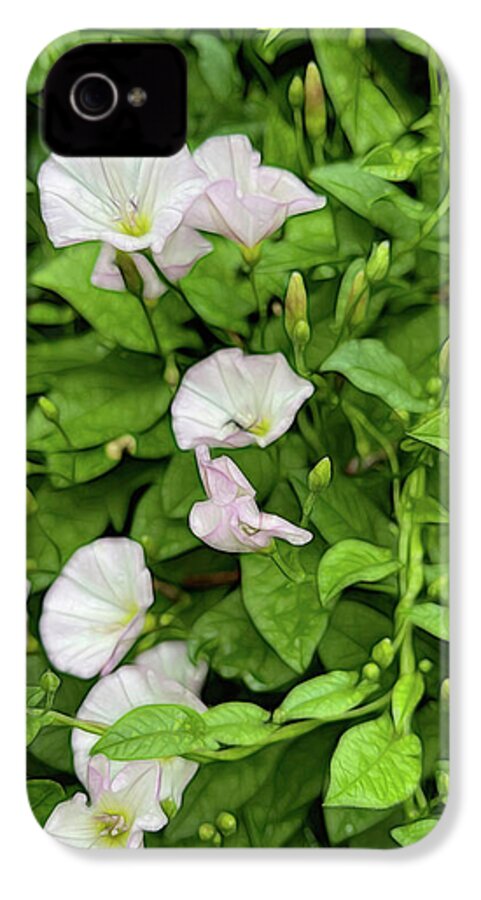 Morning Glories - Phone Case