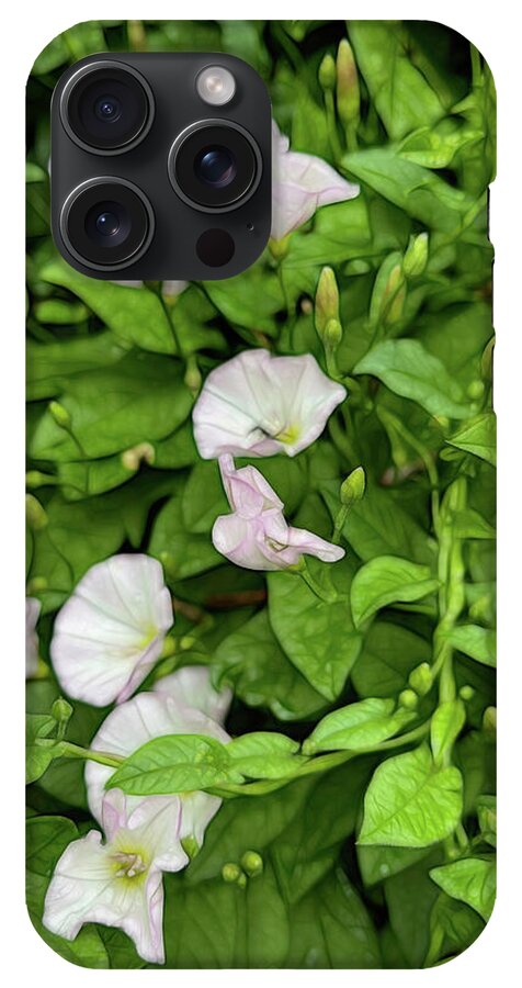 Morning Glories - Phone Case