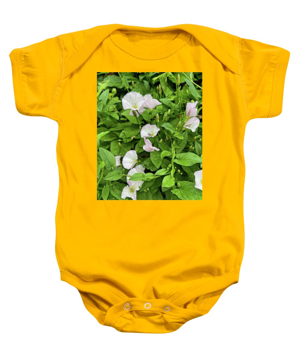 Morning Glories - Baby Onesie