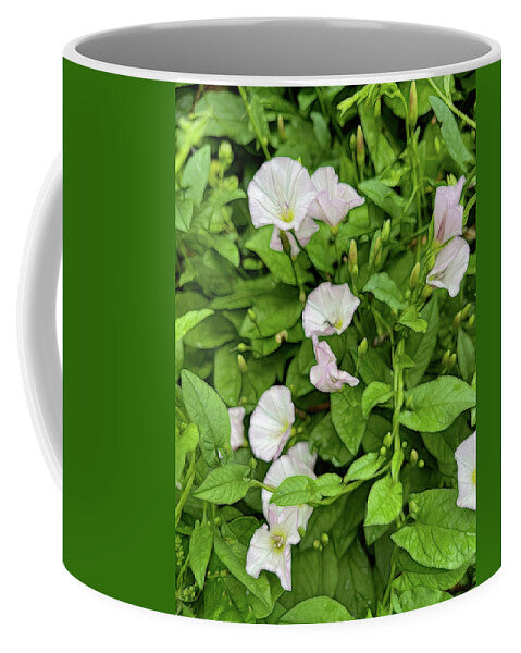 Morning Glories - Mug