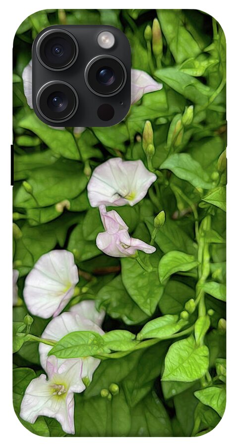 Morning Glories - Phone Case