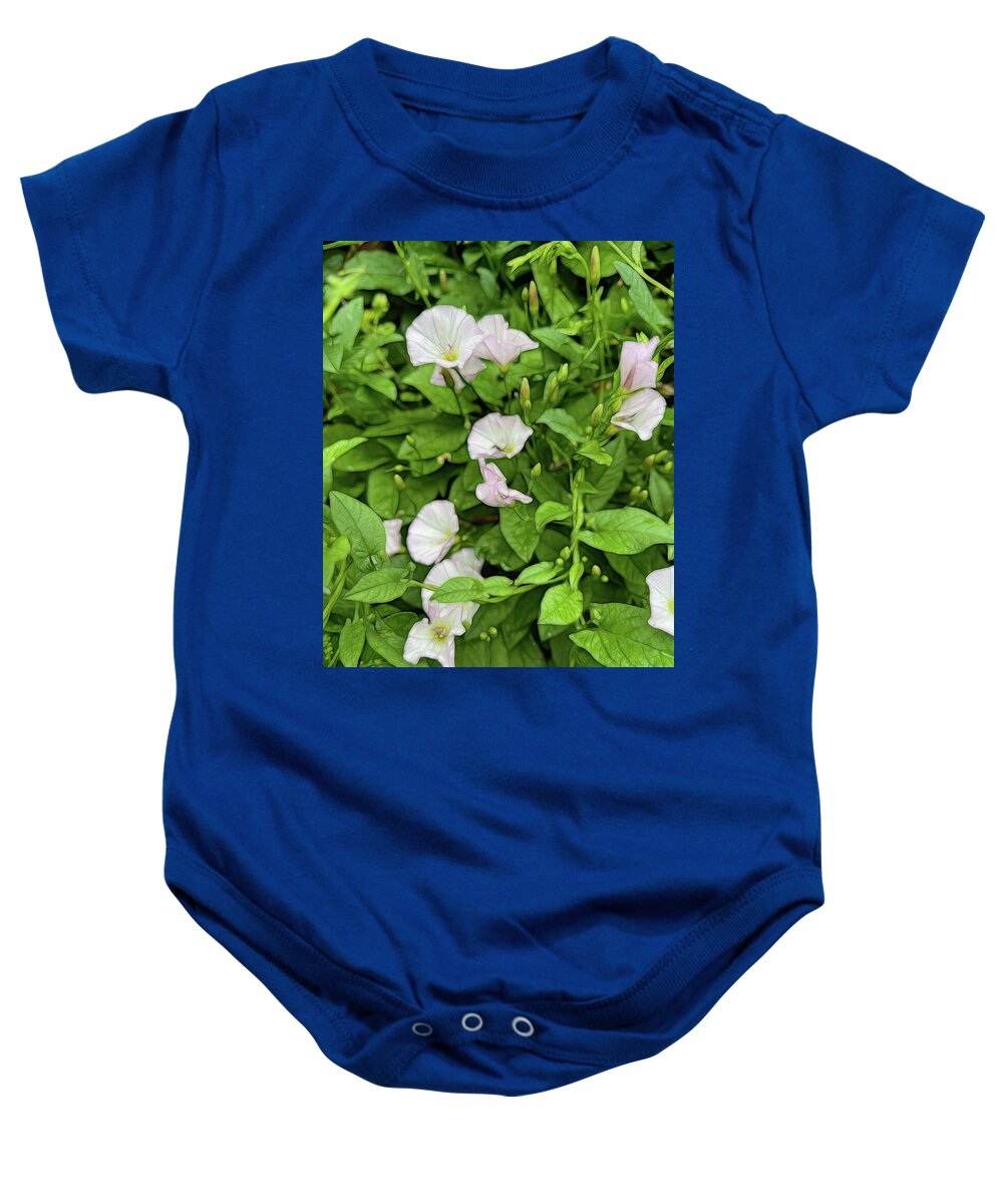 Morning Glories - Baby Onesie