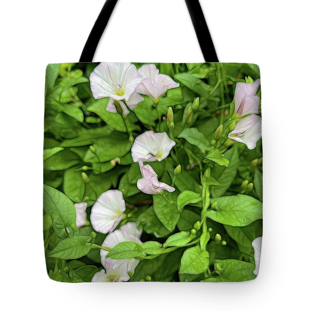 Morning Glories - Tote Bag