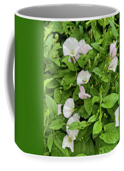 Morning Glories - Mug