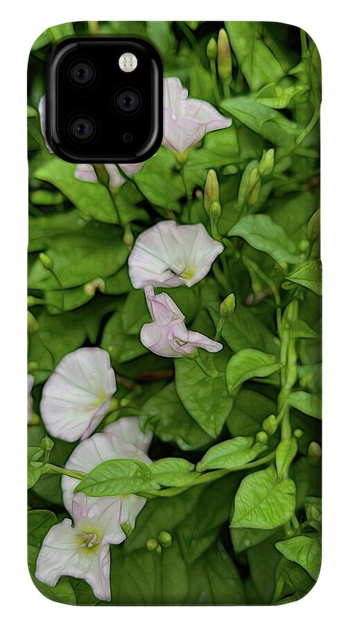 Morning Glories - Phone Case