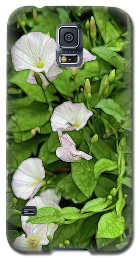 Morning Glories - Phone Case