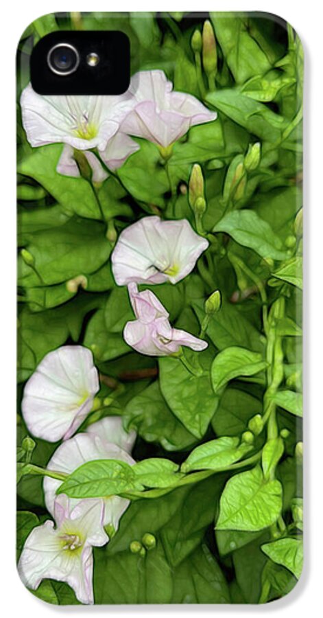 Morning Glories - Phone Case