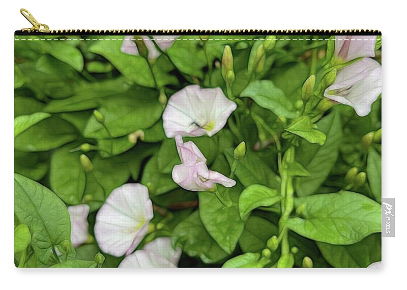 Morning Glories - Zip Pouch