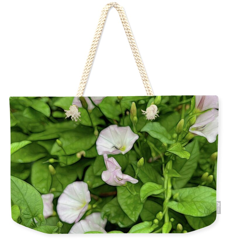 Morning Glories - Weekender Tote Bag