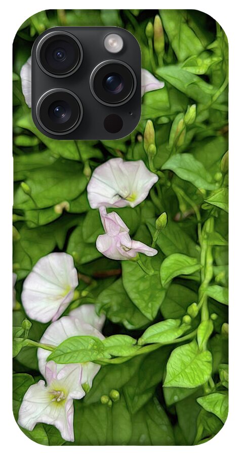 Morning Glories - Phone Case