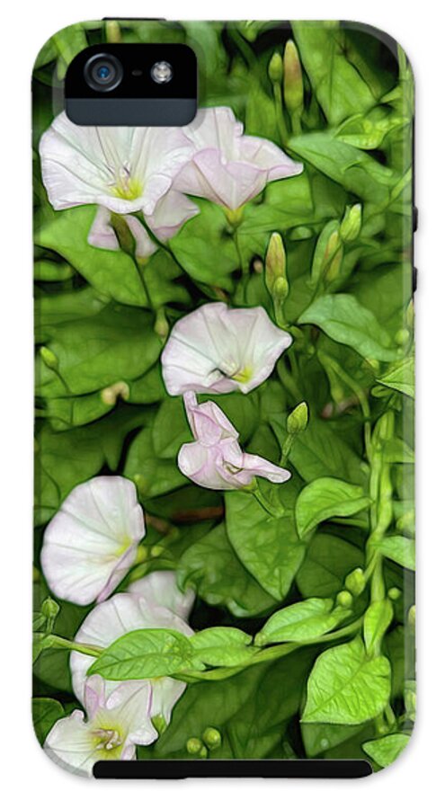 Morning Glories - Phone Case