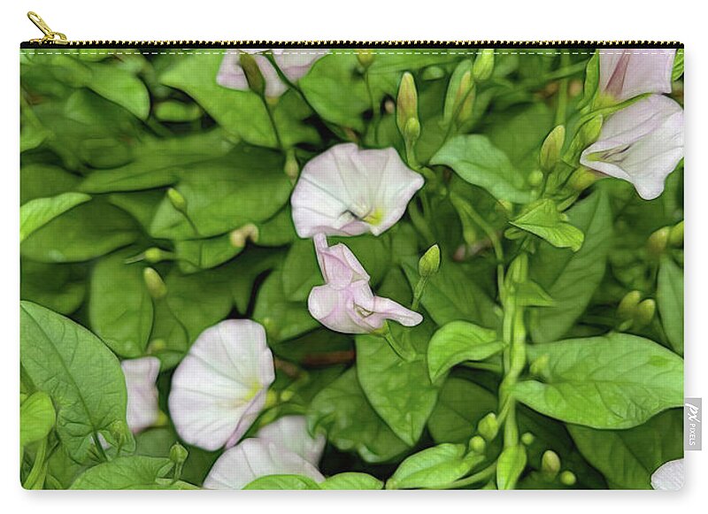 Morning Glories - Zip Pouch