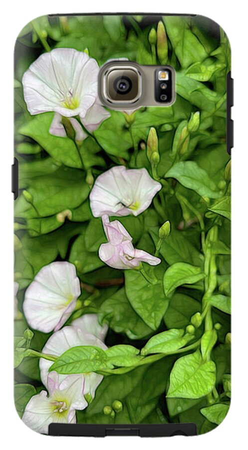 Morning Glories - Phone Case