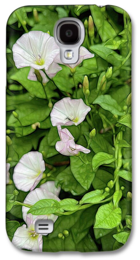 Morning Glories - Phone Case