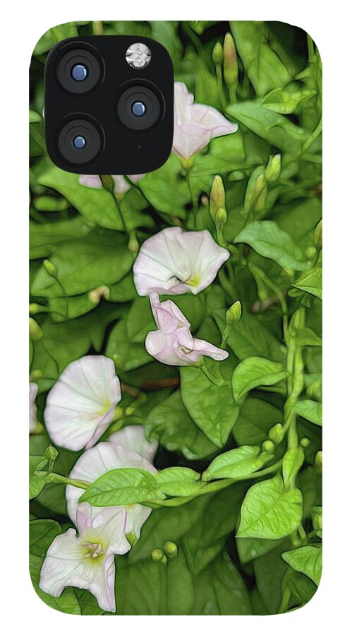 Morning Glories - Phone Case