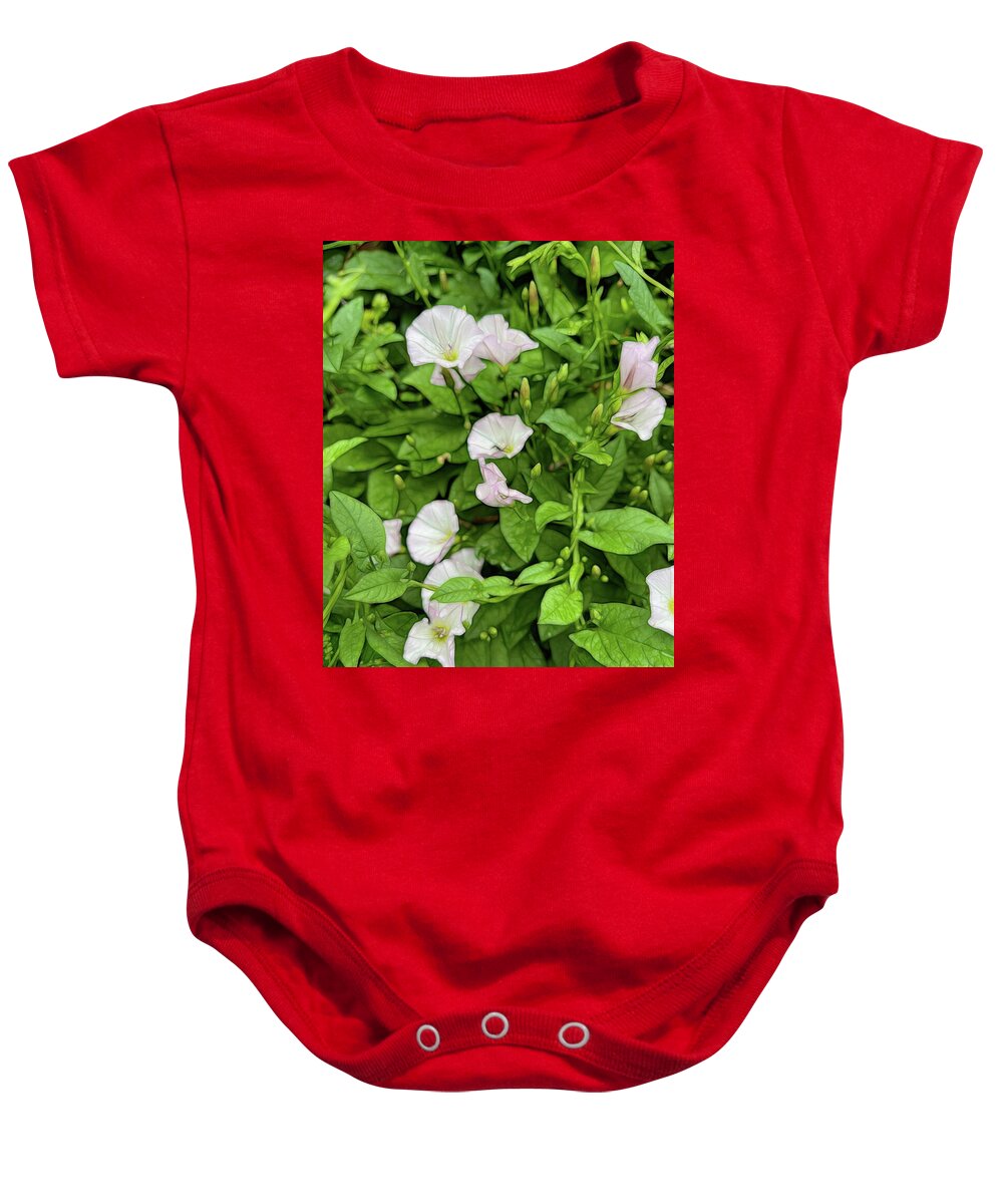 Morning Glories - Baby Onesie