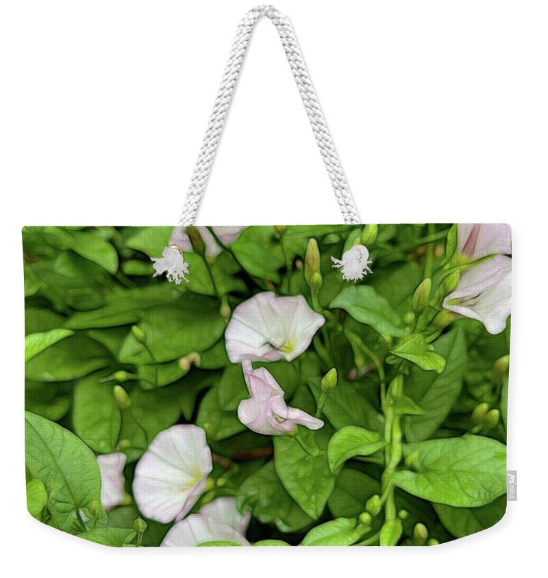 Morning Glories - Weekender Tote Bag