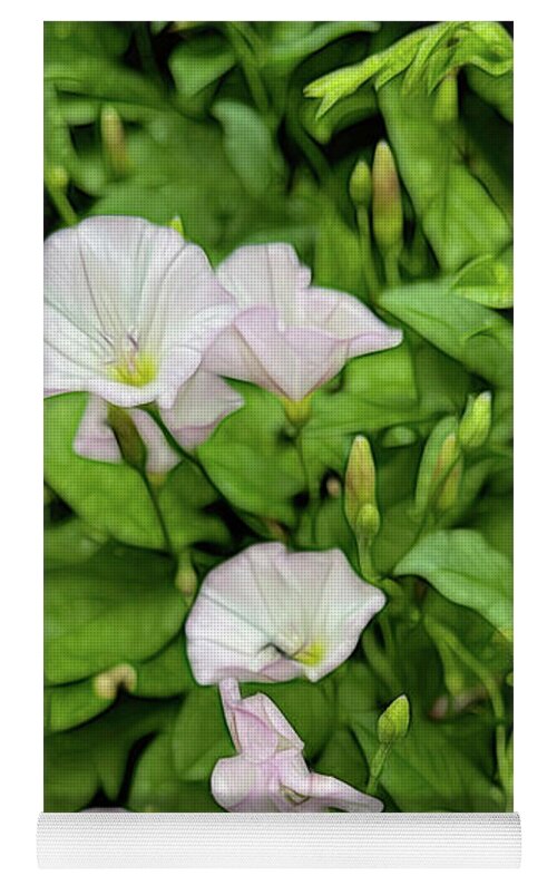 Morning Glories - Yoga Mat